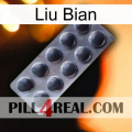 Liu Bian 30